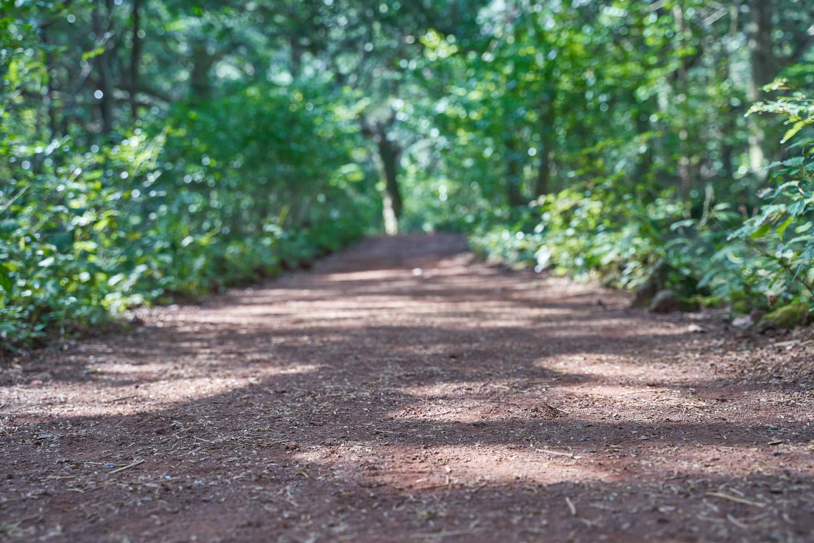 설연휴 제주도여행