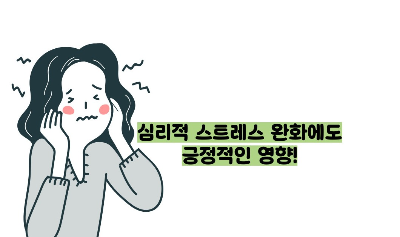 올리브오일 효능