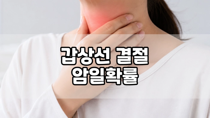 갑상선 결절 암일확률