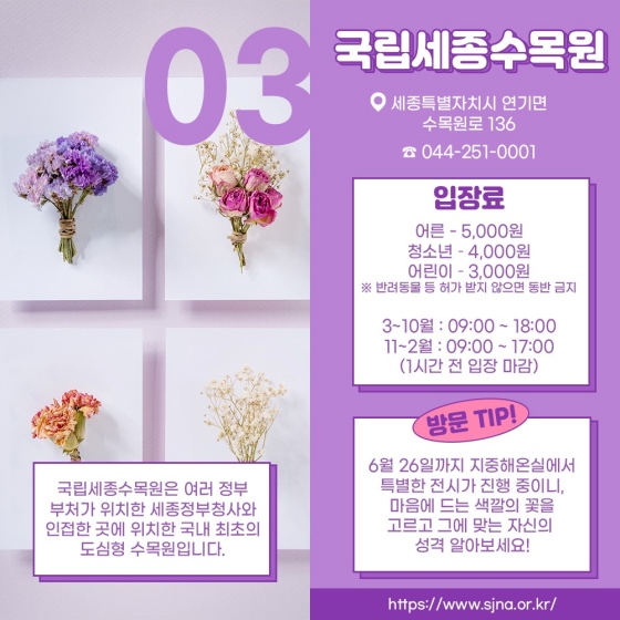 주말여행 국립수목원, 국립세종수목원