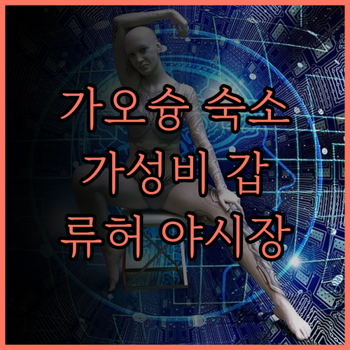 가오슝 후 하우스 후기.. 류허 야시