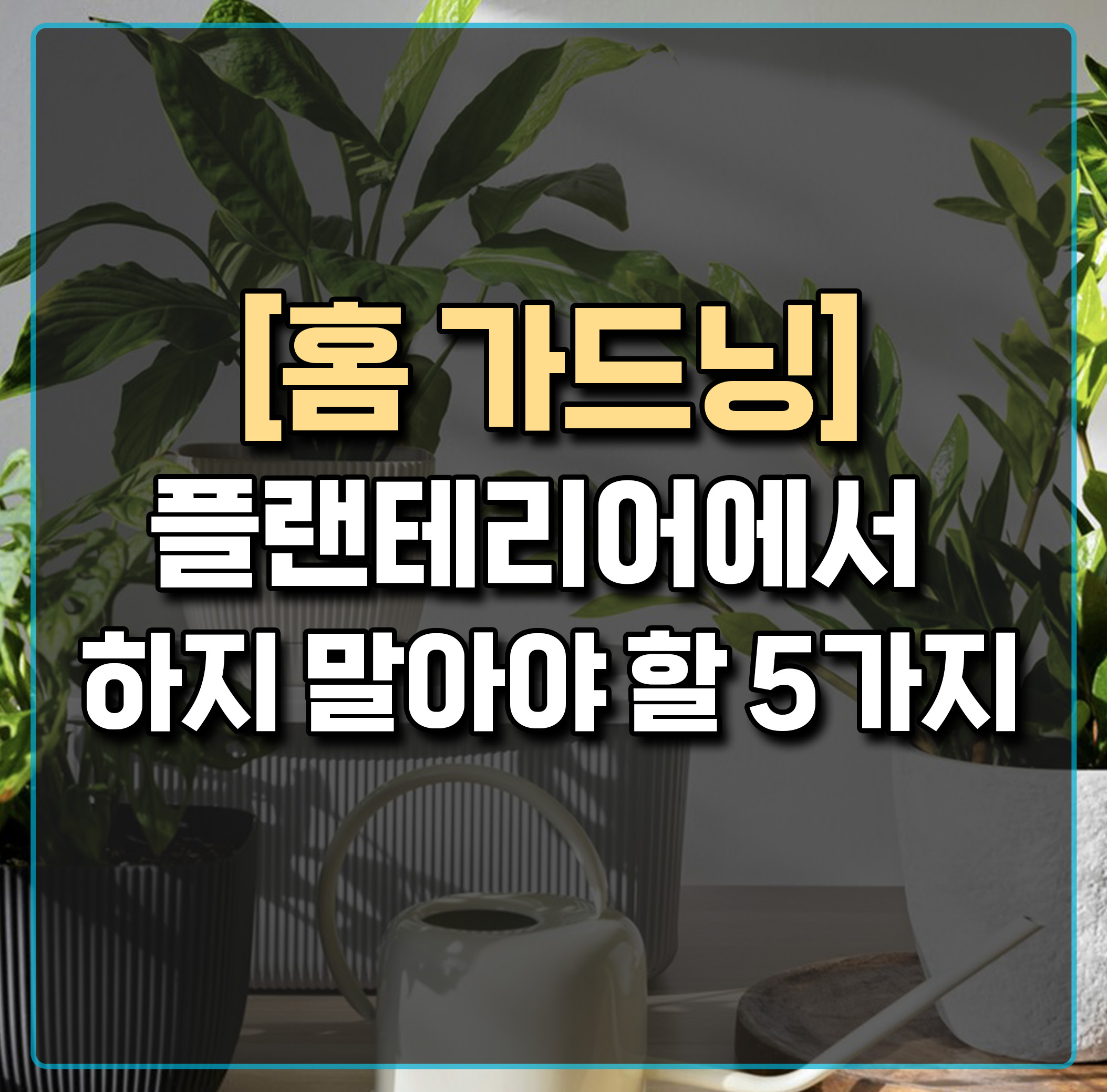 홈가드닝-플랜테리어-하지말아야할-5가지