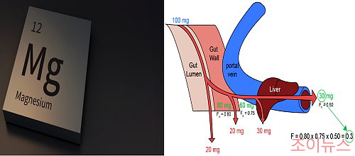 높은 생체 이용률