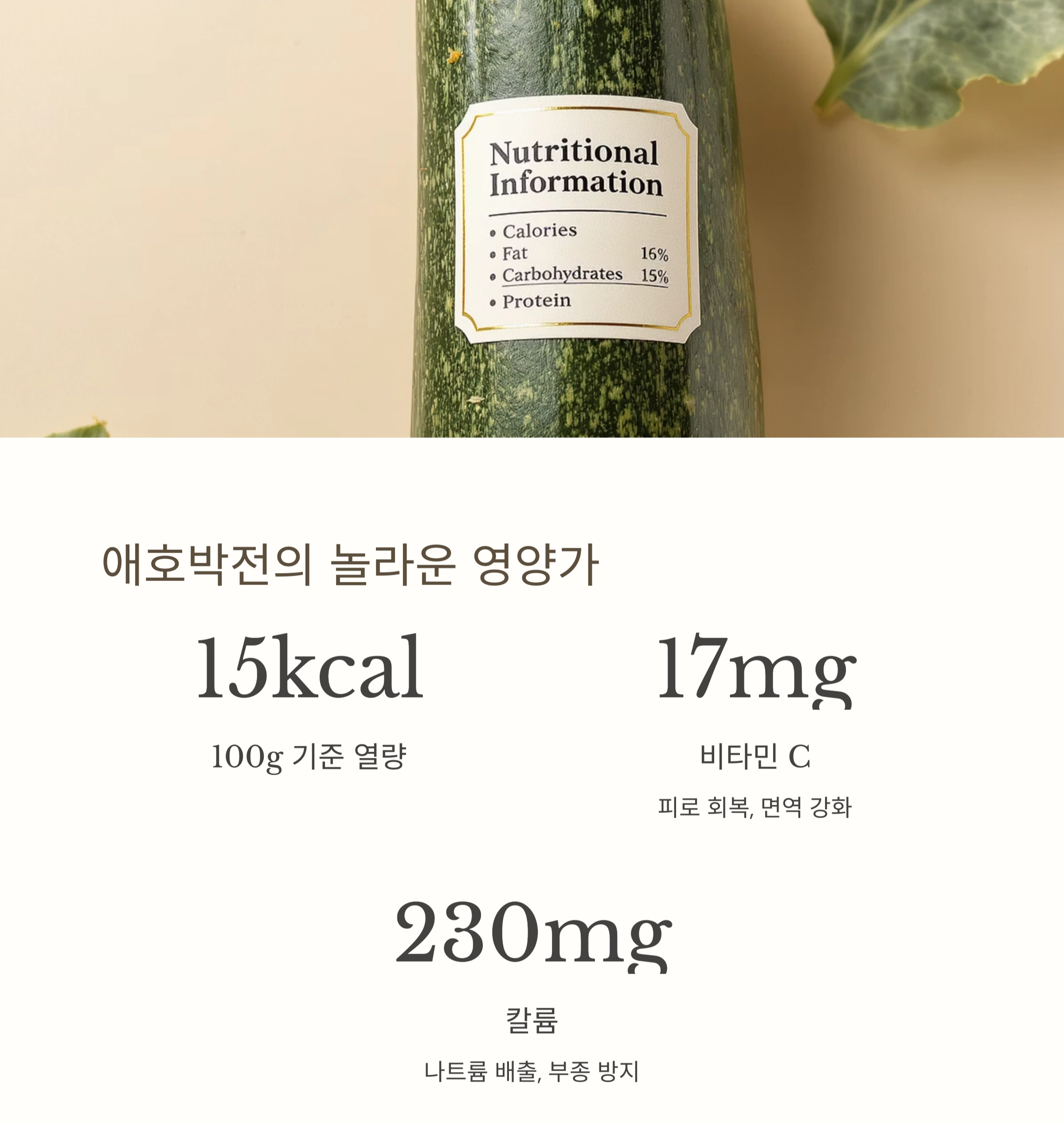 애호박전으로 든든하게! 여름철 입맛 살리는 한 끼