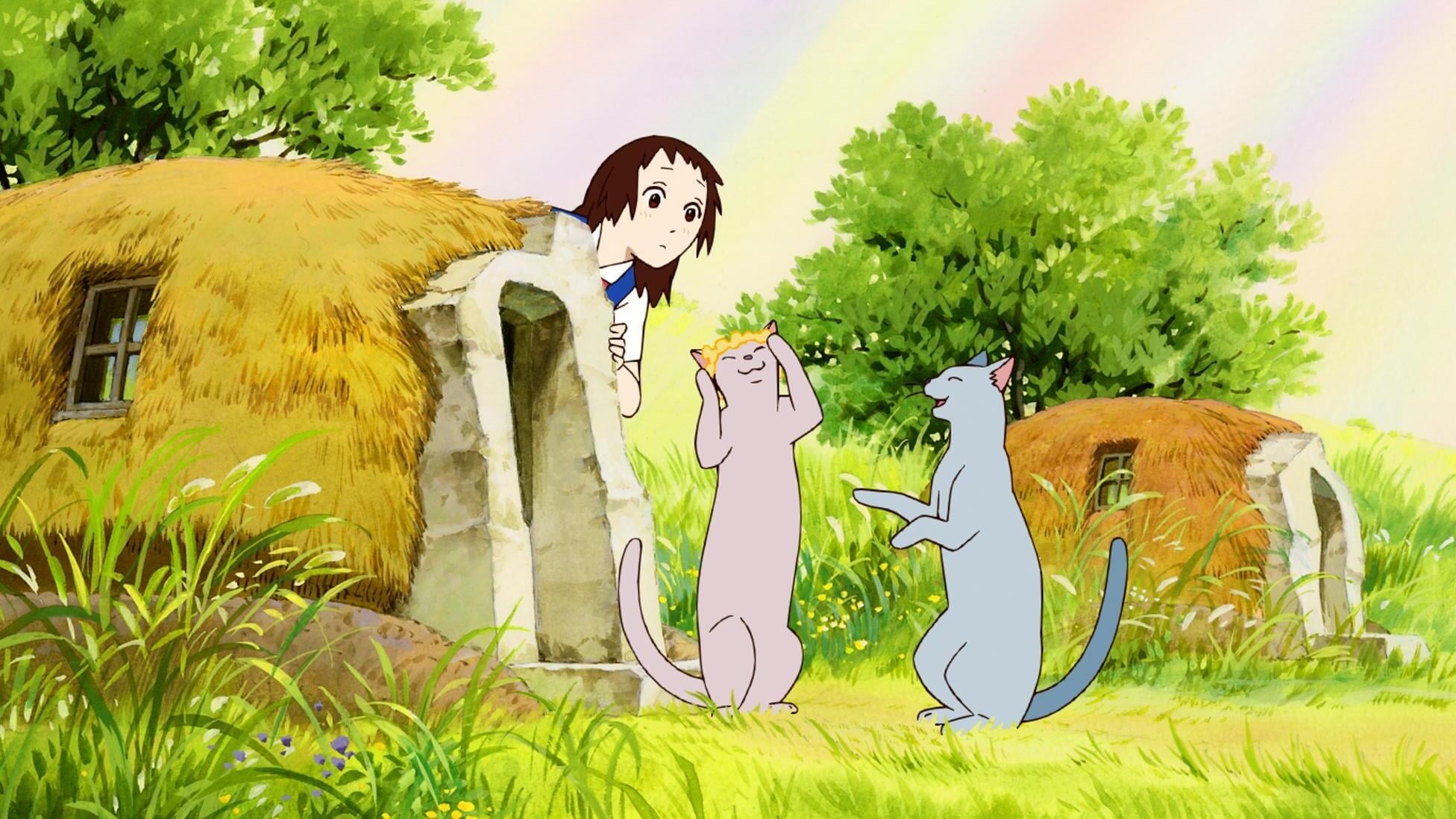 고양이의 보은