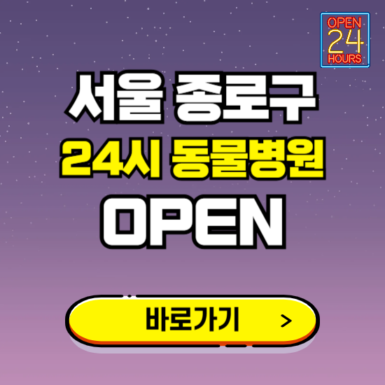 서울 종로구 24시 동물병원 진료하는 곳 ❘ 설날 휴일 야간 심야 문여는곳 찾기 ❘ 응급진료