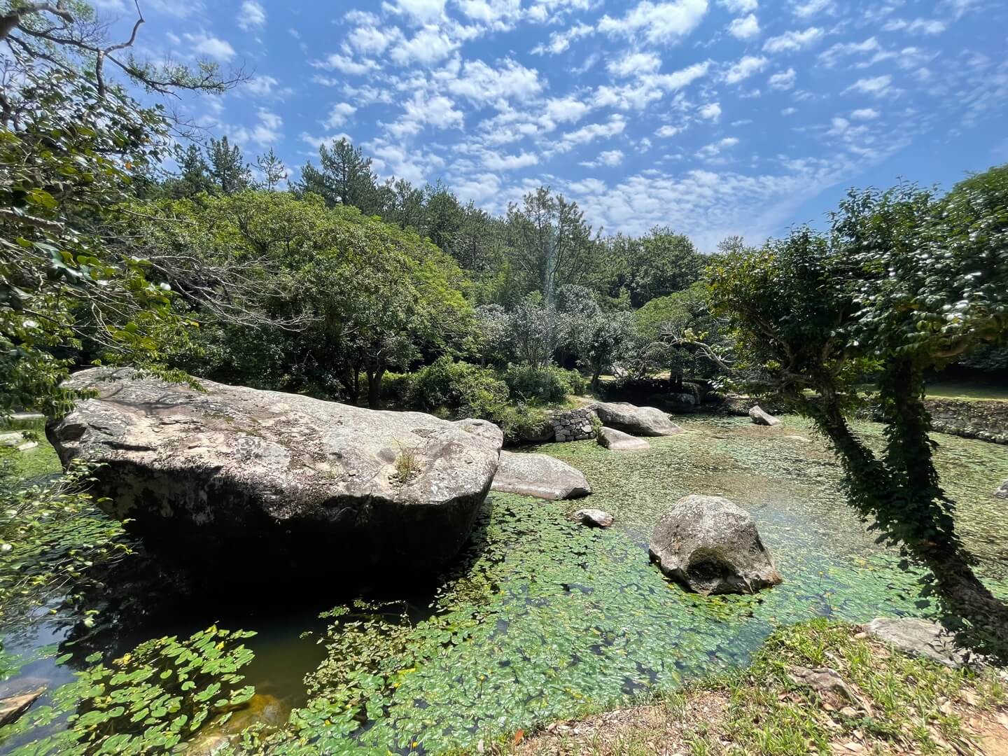 윤선도원림 세연정