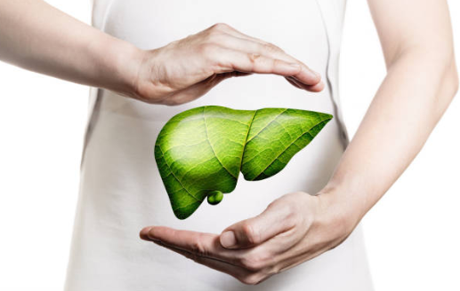 간 건강 밀크씨슬의 효능과 부작용, 복용 방법, 권장 섭취량