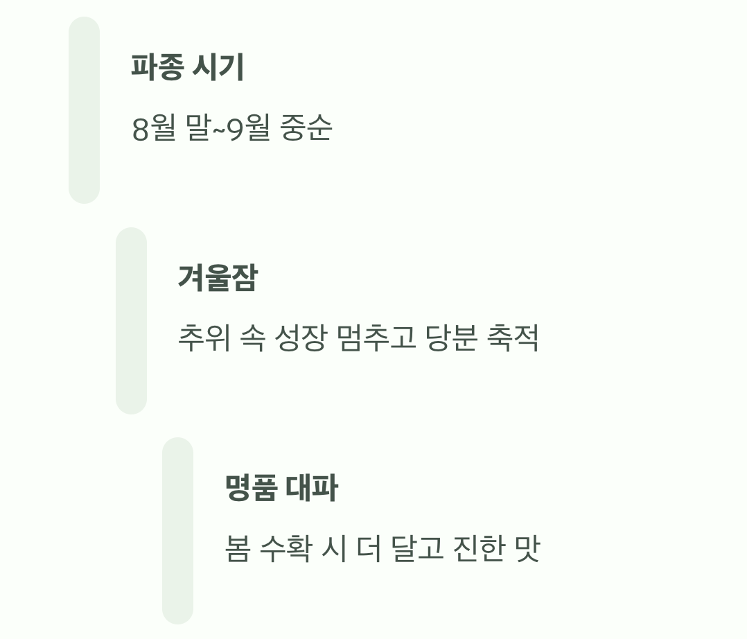 '가을 파종', 겨울을 이겨낸 달콤함