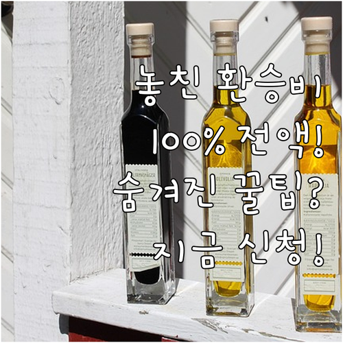 놓친 교통비 환승 누락 요금 100%..