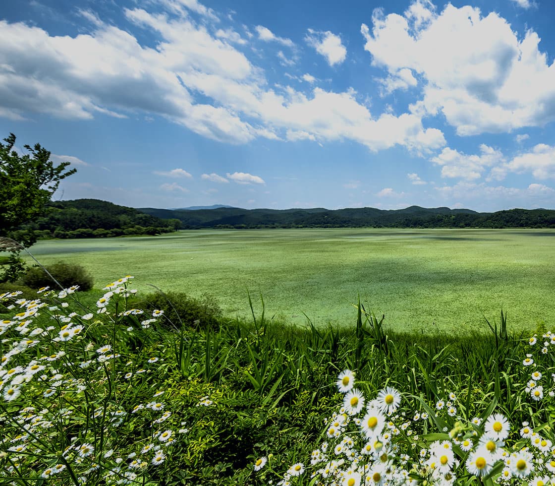 경남 창녕군 우포늪, 우포생태관, 우포출렁다리