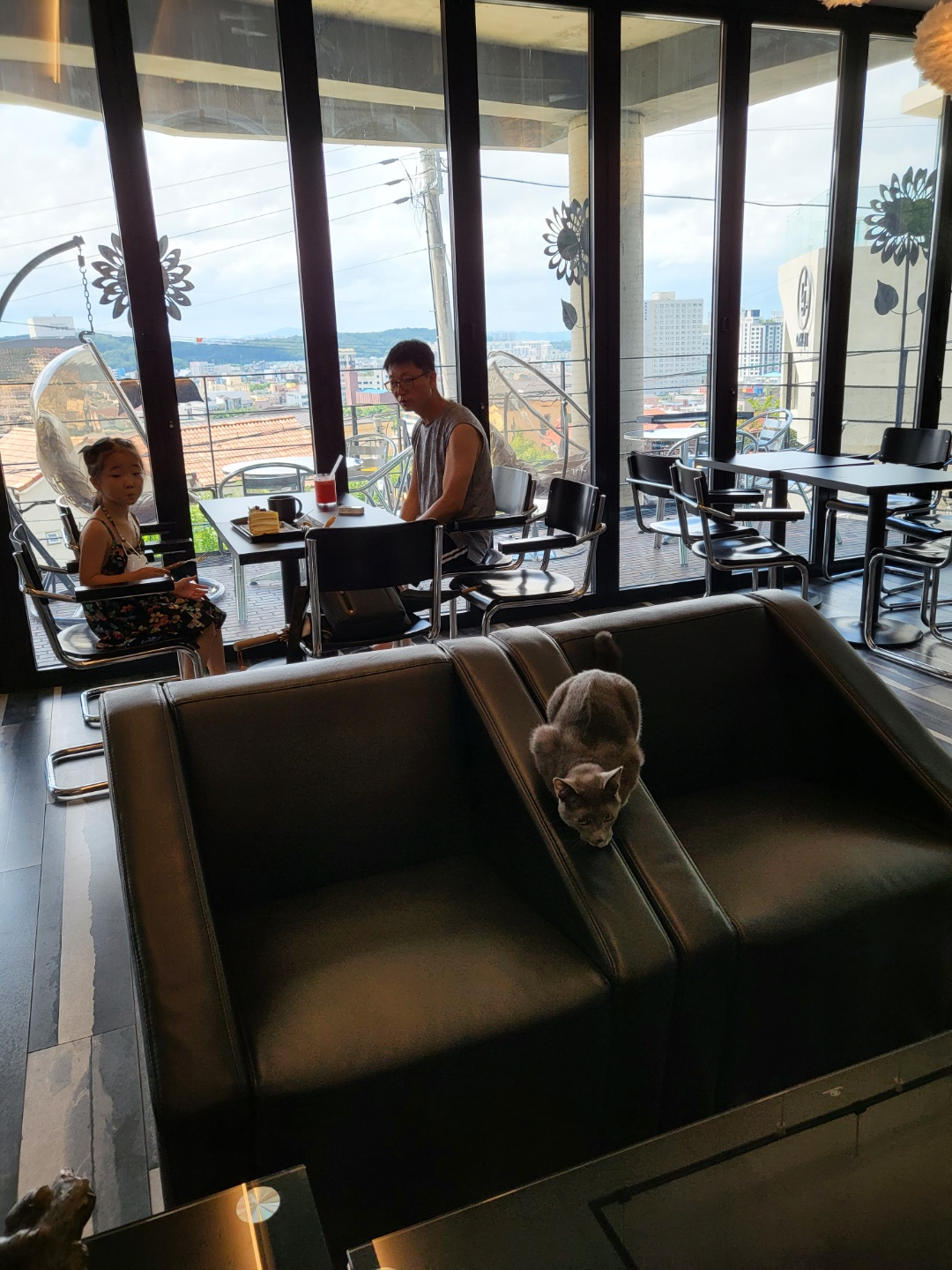 베로니 카페(청주)