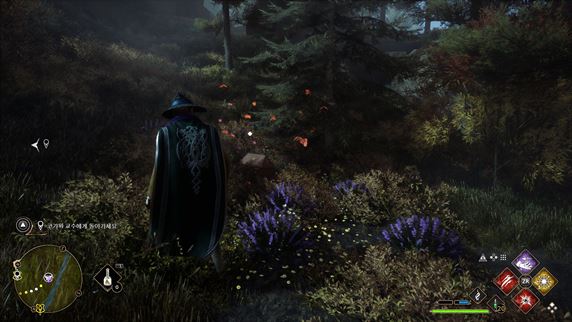 호그와트-레거시-나비