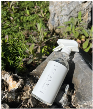 빈대 퇴치제 살충제 - 제주 in 편백수