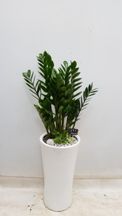 개업 축하 문구