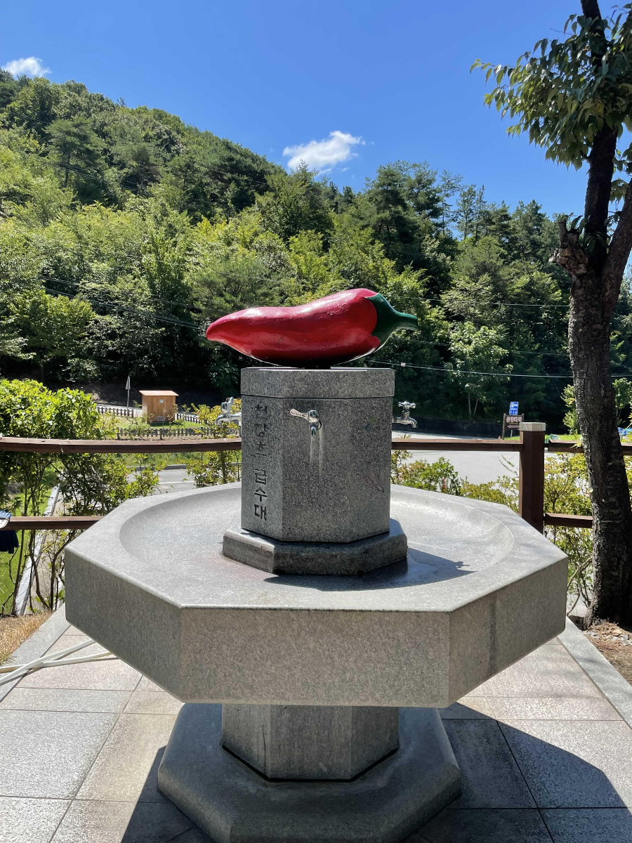 청양 천장호 출렁다리