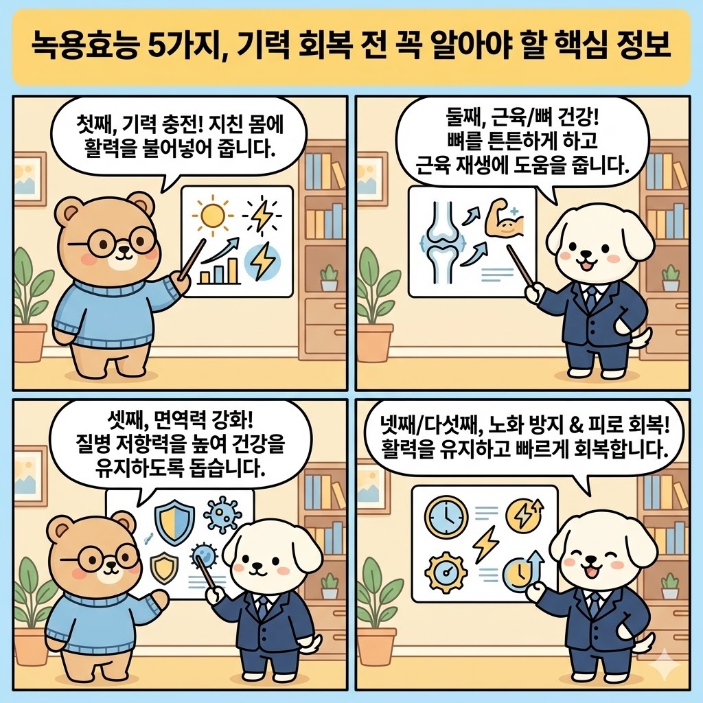 녹용효능 5가지, 기력 회복 전 꼭 알아야 할 핵심 정보