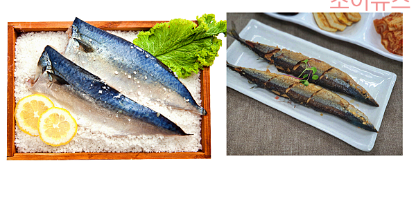 탈모에 좋은 음식, 등 푸른 생선