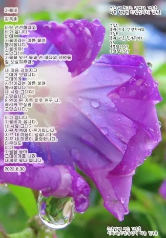 봄비 인사말 이미지 비오는날 일러스트_12