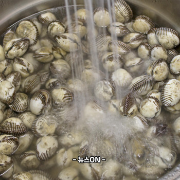 꼬막 해감쉽게하는법