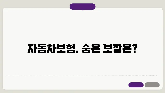자동차보험 보장범위