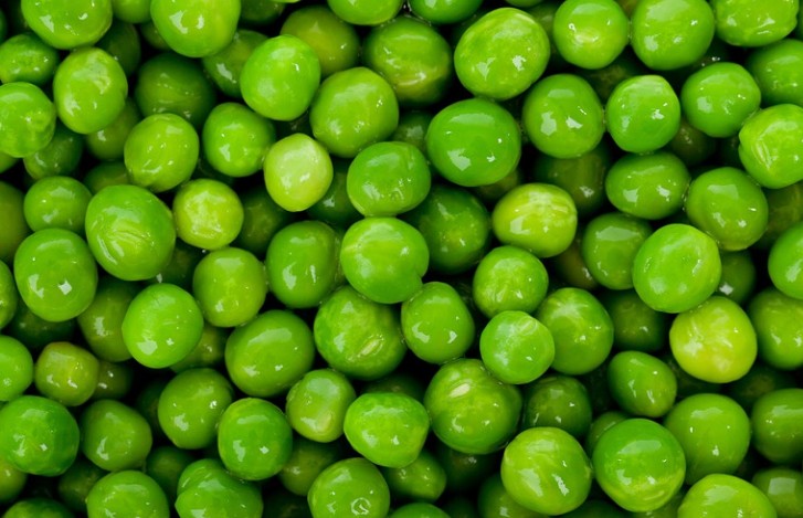 단백질보충제(단백질파우더) 추천 - 종류, 고르는법, 주의사항