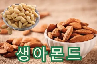 아몬드 효능 하루 섭취량 칼로리 알아보기_14