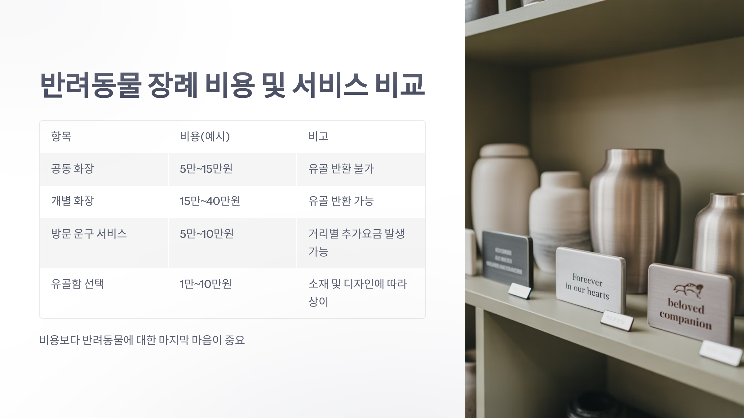 참조-반려동물-장례-4