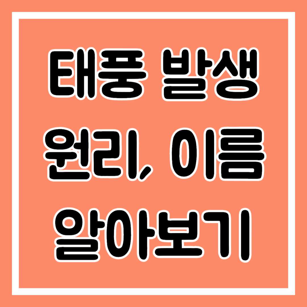 태풍 발생 원리, 이름, 실시간 확이방법 알아보기