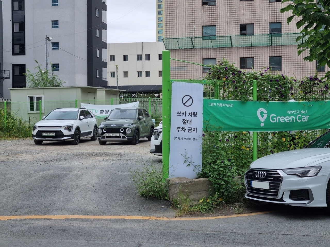 그린카 전용으로 운영 중인 동대구역 네거리 카셰어링 존입니다.