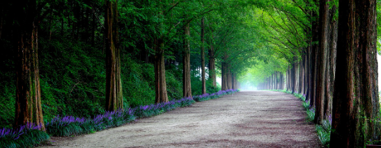 국내여행 한국의 아름다운 여행지