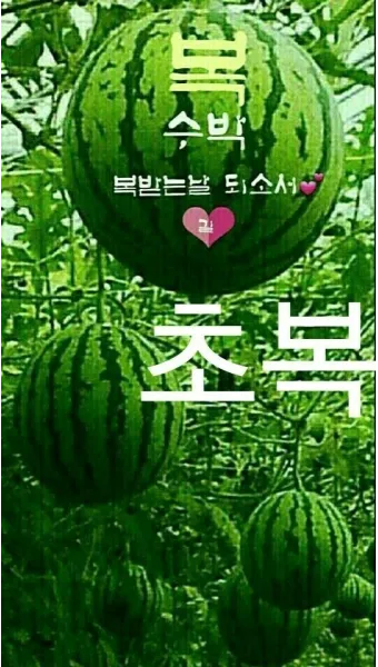 유머 인사말 모음 예시 메일_26