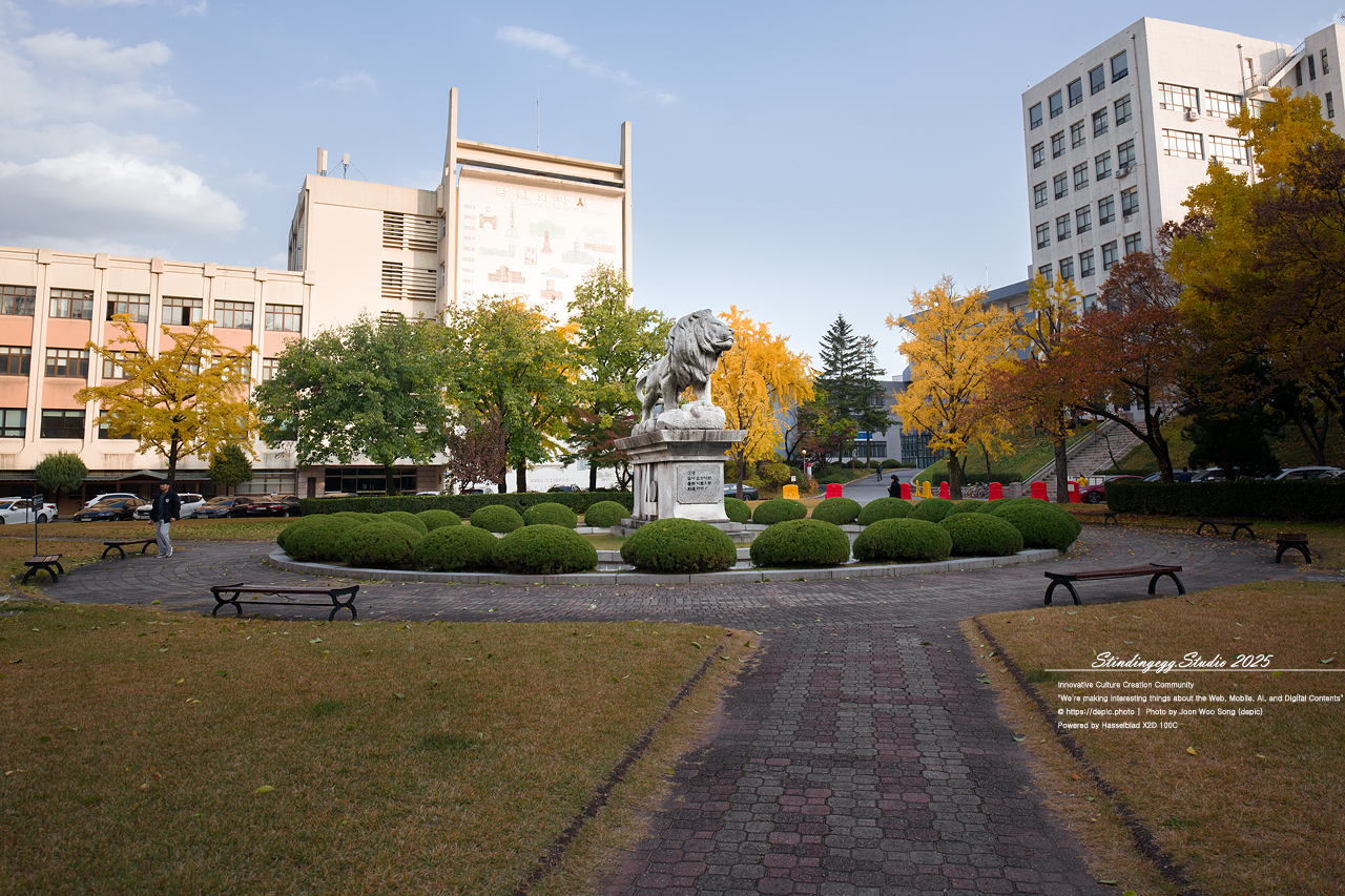 #서울 #경희대 #경희대학교 #단풍 #가을