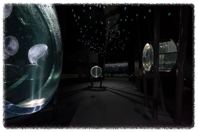 오사카 가이유칸 수족관