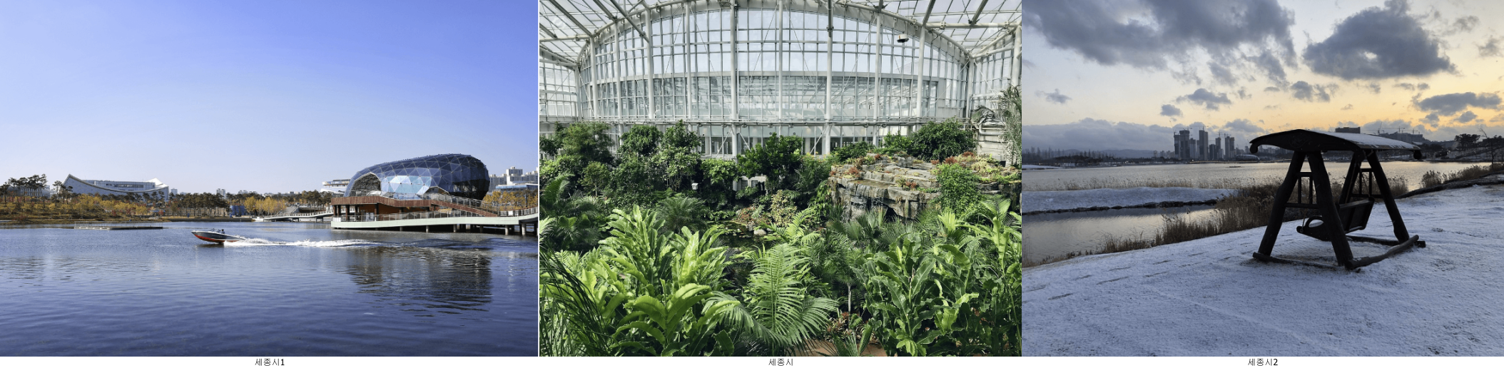 세종시 호수공원, 국립 수목원