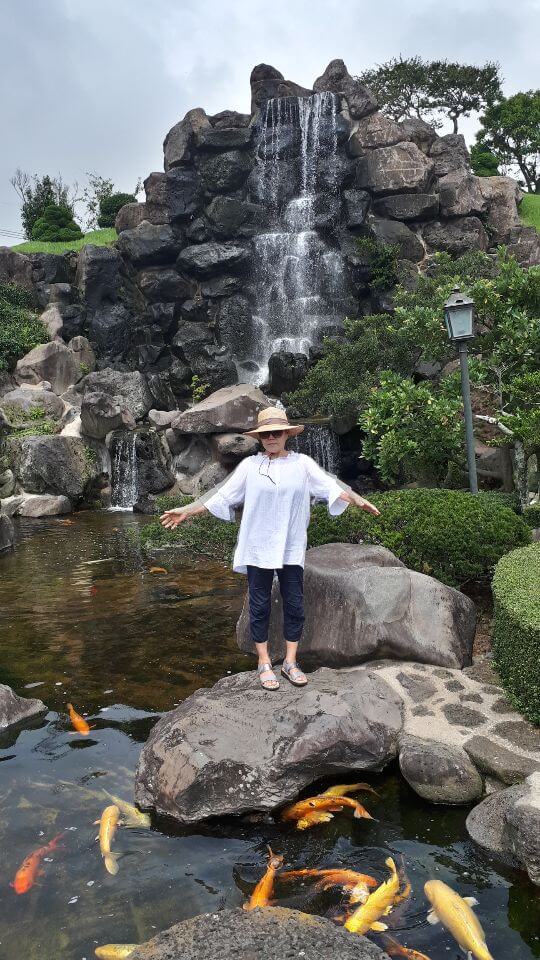 비단잉어들