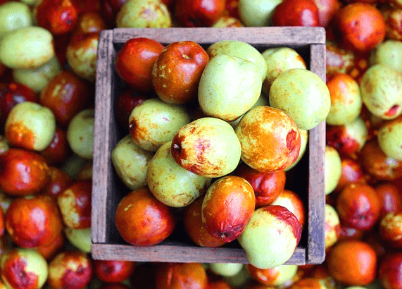 생 대추들이 한가득이다. 갈색, 연두색 대추들이며, 네모난 나무 박 속에도 대추들이 가득 들어있다.