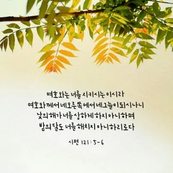시편 61장 2절 읽기 - 내 마음이 약해질 때에 내가 땅 끝에서부터 주께 부르짖으리니_8