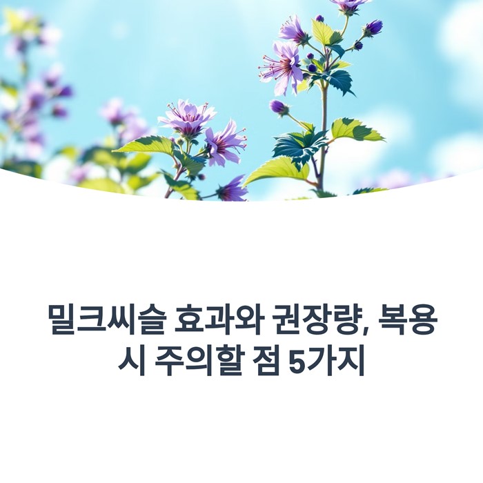 밀크씨슬 효과와 권장량, 복용 시 주의할 점 5가지 요약 이미지