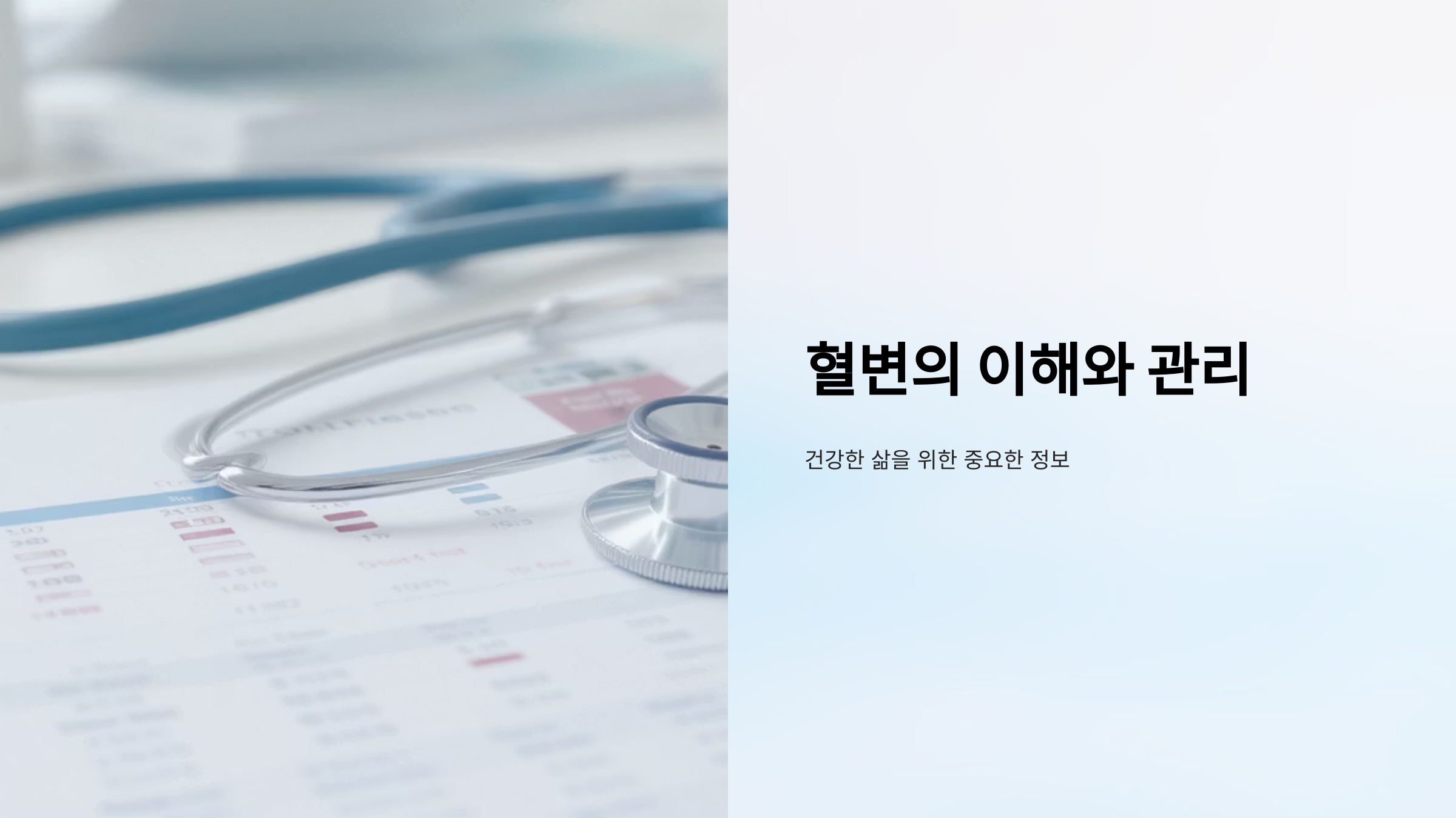 혈변의 원인과 대처법 완벽 정리