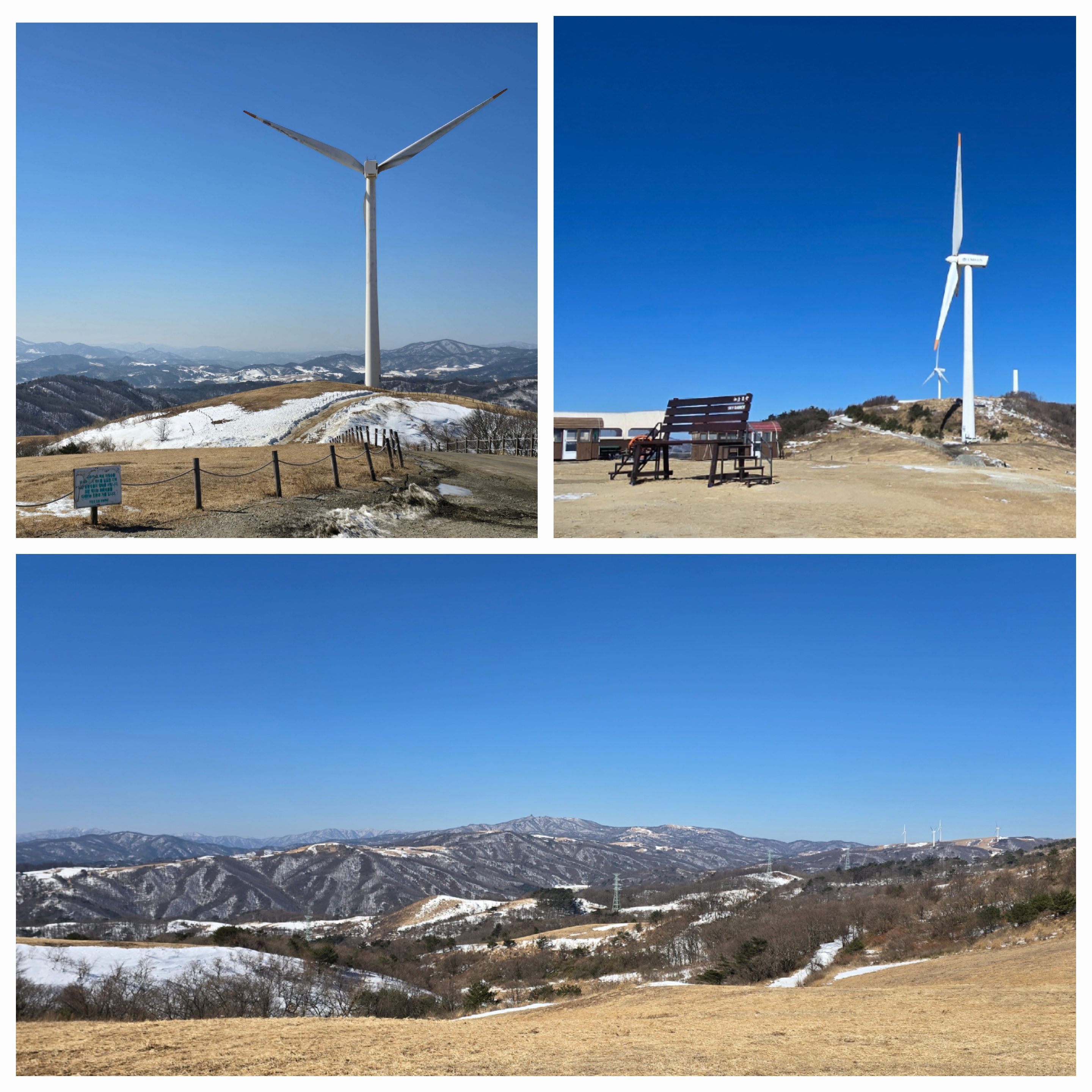 대관령 하늘목장 평창가볼만한곳 횡계가볼만한곳 .체험비.입장료 하늘목장정상