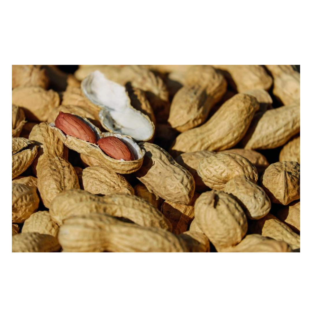 코큐텐과 관련된 사진입니다.