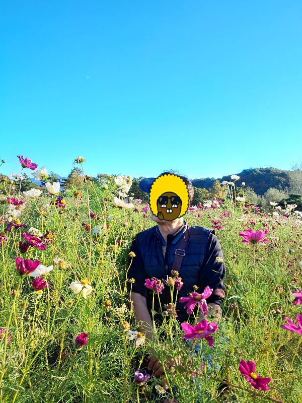 철원 고석정꽃밭 온천여행꿀팁