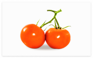 토마토 효능