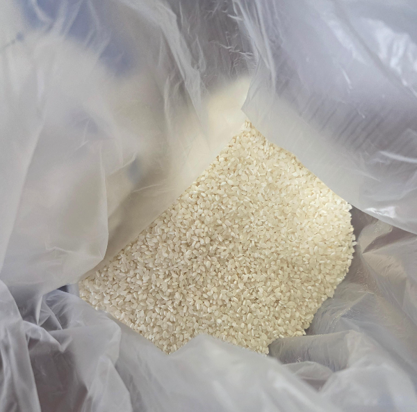 바구미 제거 쌀