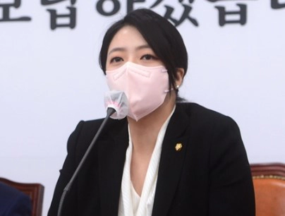 배현진 의원 피습 상황 및 피의자