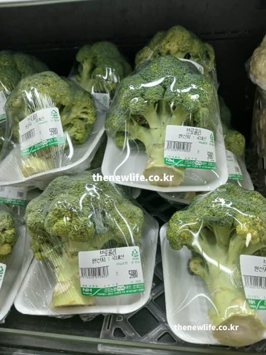 브로콜리 효능을 최대로 끌어올리는 올바른 조리법 실사진