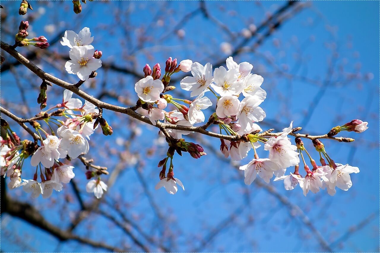 새마을금고 적금 이율