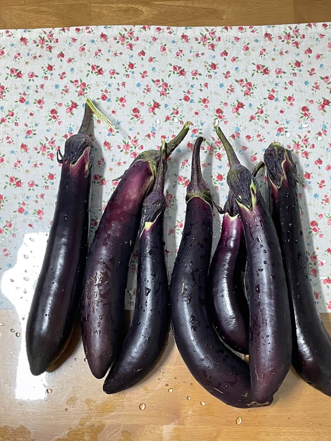 가지수확