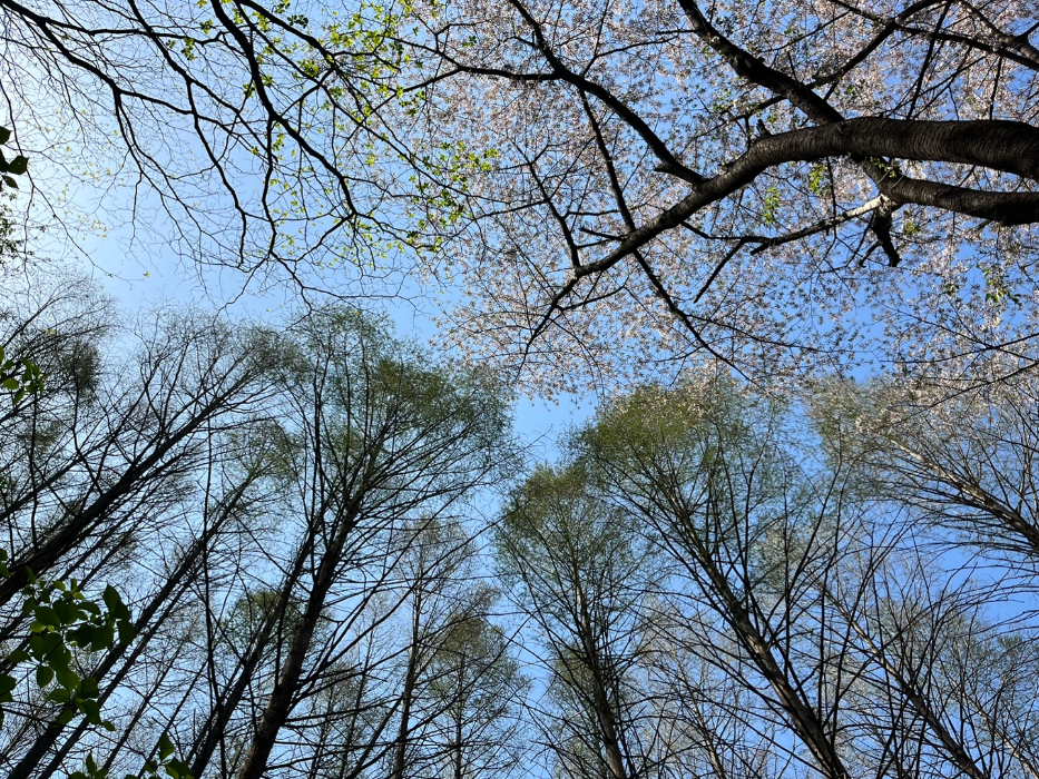 하늘도 진짜 예뻐요